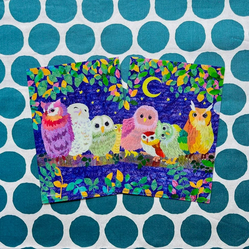 COMO A5 Clear File - Owls on a Branch