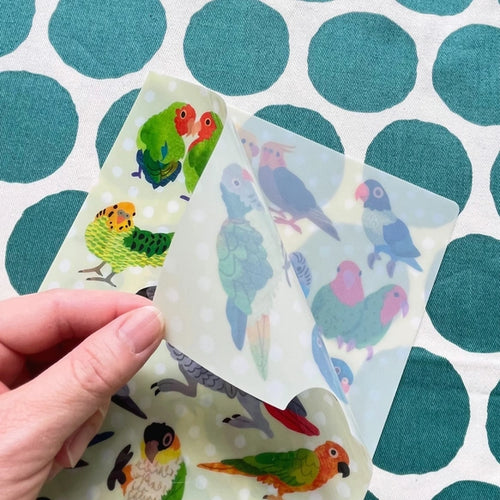 COMO A5 Clear File - Parakeet