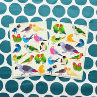 COMO A5 Clear File - Parakeet view 1