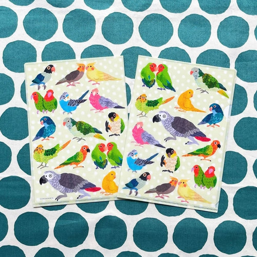 COMO A5 Clear File - Parakeet