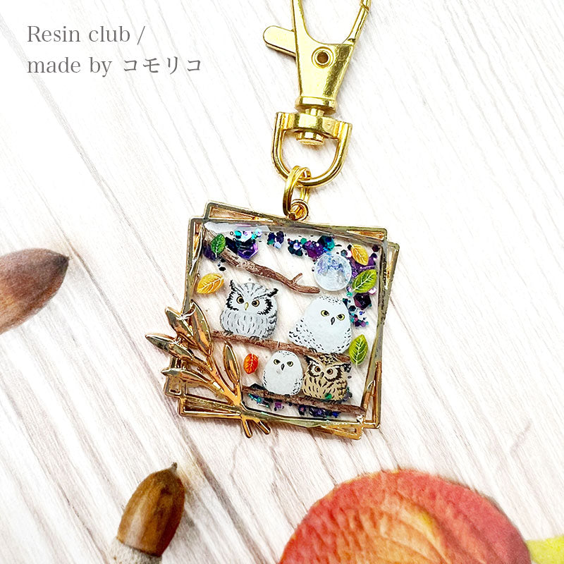 Resin Club Double-Sided UV Resin Sticker - Owl