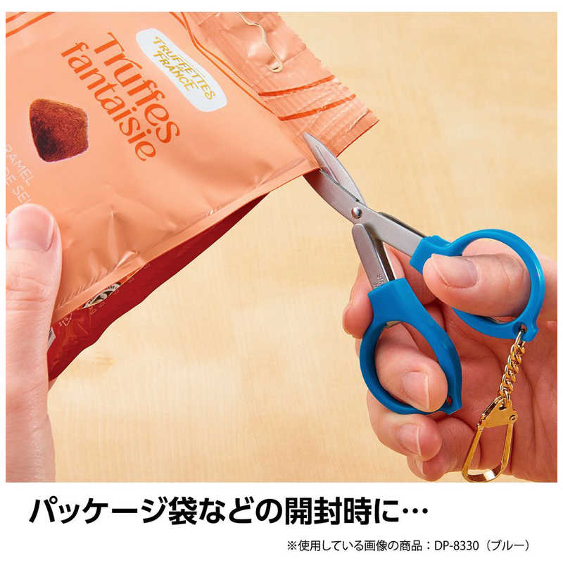 Sekisei Keyring Scissors - Blue