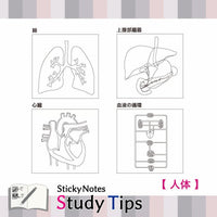Shikisaisai Sticky Notes Study Tips - Human Body view 4