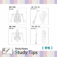 Shikisaisai Sticky Notes Study Tips - Skeleton view 4