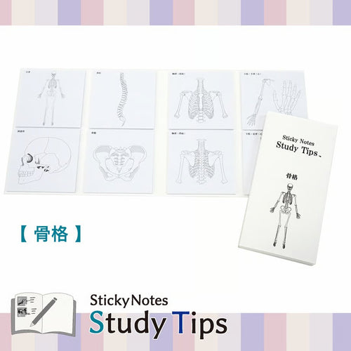 Shikisaisai Sticky Notes Study Tips - Skeleton