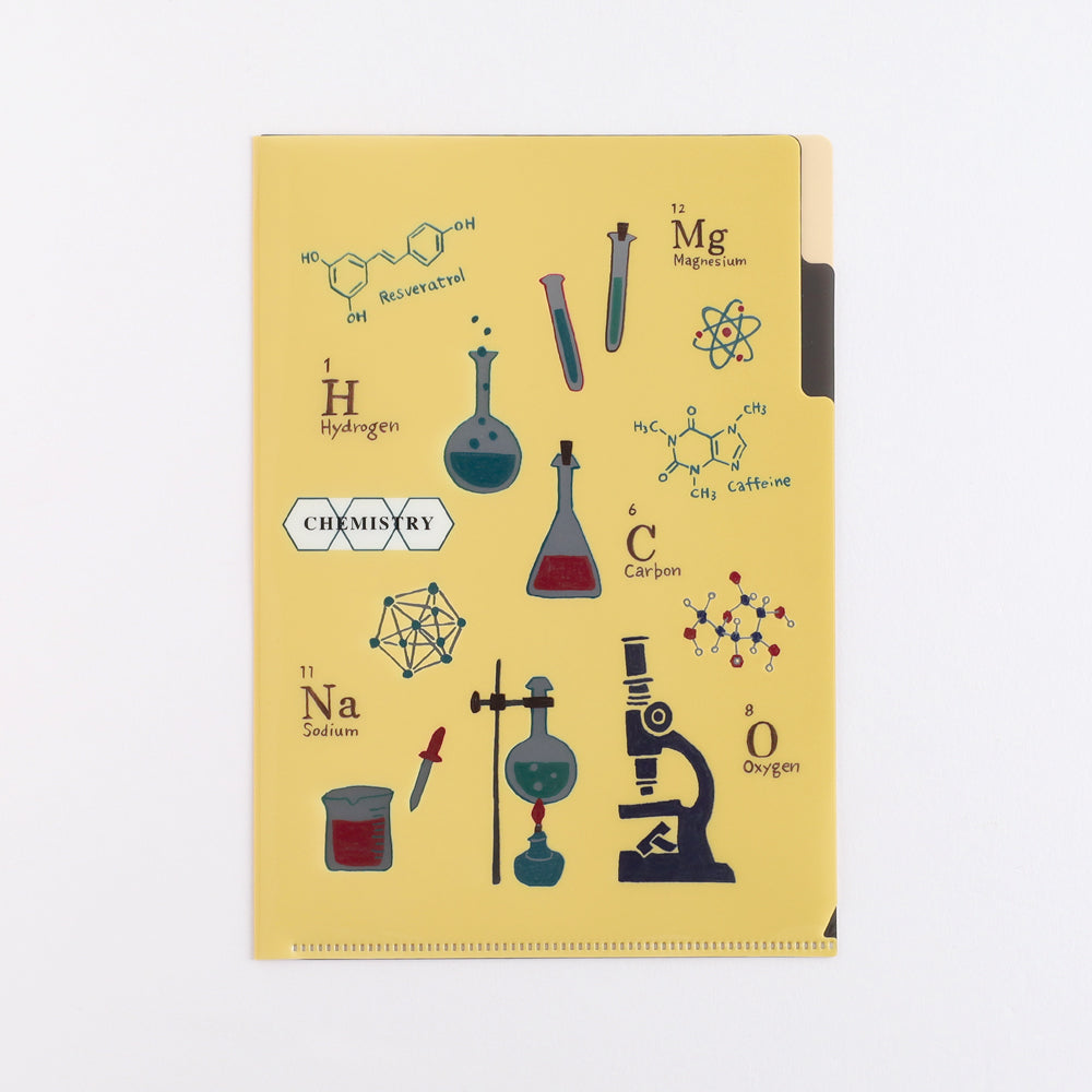 Study Holic A5 Pocket Clear File - Chemistry
