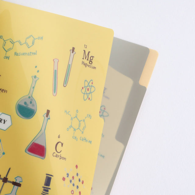Study Holic A5 Pocket Clear File - Chemistry